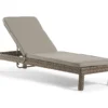 Broyhill Eagle Brooke All-Weather Wicker Cushioned Chaise Lounger -Broyhill 810459548