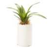 Mini Faux Greenery In White Ceramic Pot -Broyhill 810509521