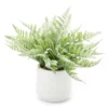 Fern In White Ceramic Pot -Broyhill 810544287