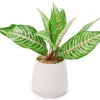 Green Artificial Leafy Arrangement With White Ridged Ceramic Pot 1 Green Artificial Leafy Arrangement With White Ridged Ceramic Pot -Broyhill 810561038
