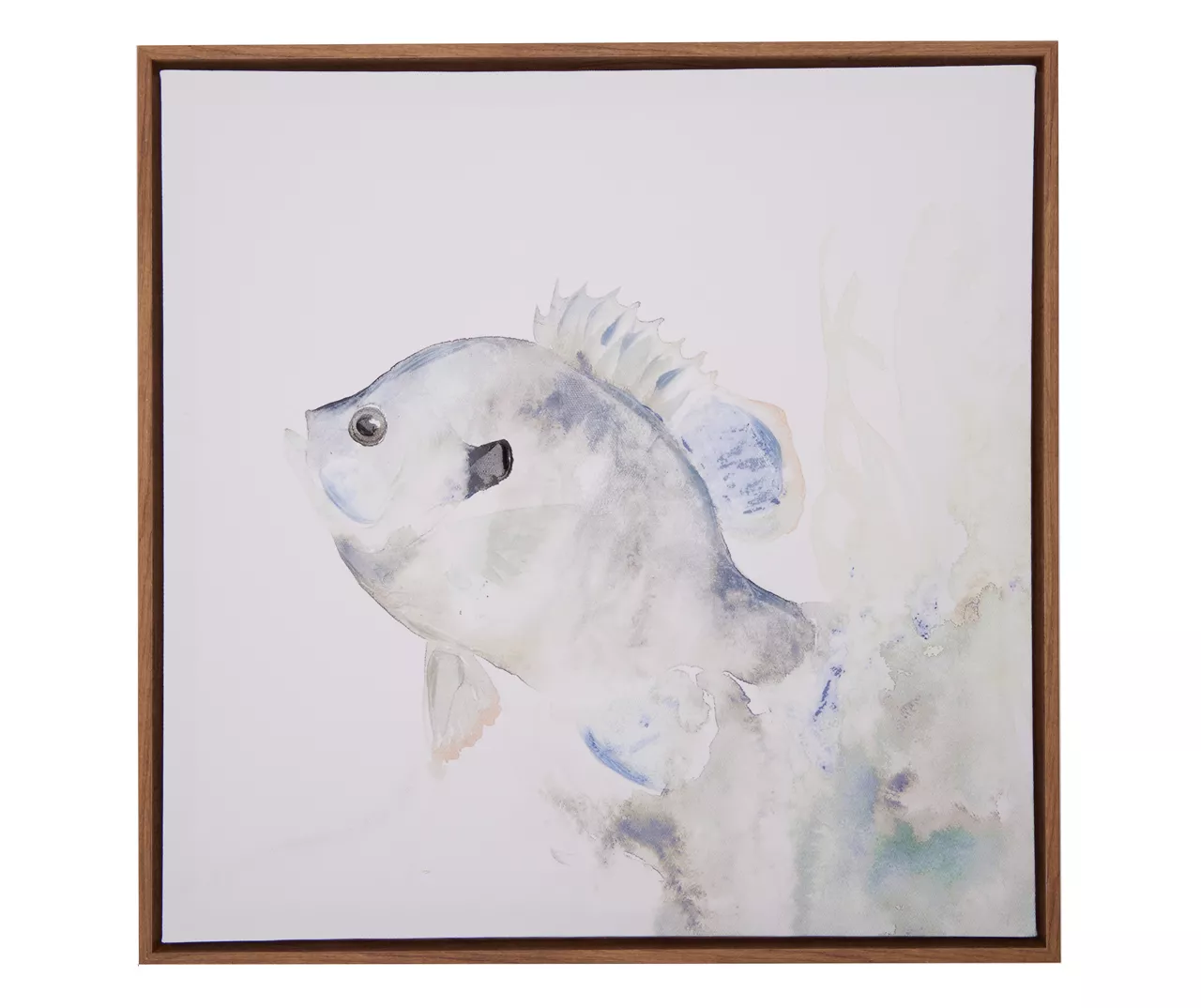 Blue & Brown Fish 2 Framed Canvas 3 Blue & Brown Fish 2 Framed Canvas