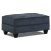Dancaster Navy Storage Ottoman -Broyhill 810569830 2