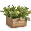 Artificial Greenery With Brown Square Wood Pot & Glass Hurricane -Broyhill 810604219 A0