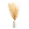 Tan Pampas Grass Arrangement With White Ceramic Pot -Broyhill 810604675 A0