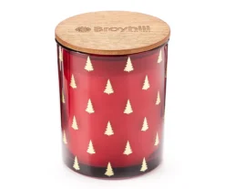 Festive Gathering Frasier Apple Wreath 2-Wick Candle, 16 Oz.